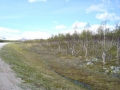 DSC00101