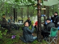 Trf_2012(60)