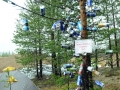 Trf_2012(61)