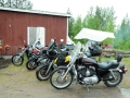 Trf_2012(63)