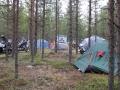 IMG_4545.JPG